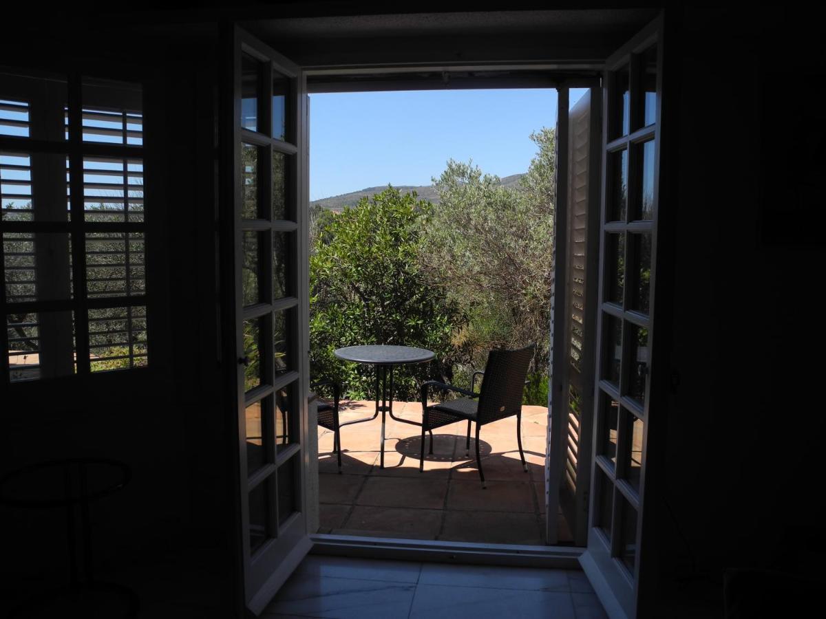 Tranquilos Estudios Cerca De La Playa Cadaqués Zewnętrze zdjęcie